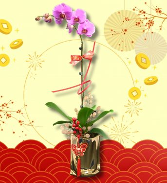 蛇來運轉(金盆)7