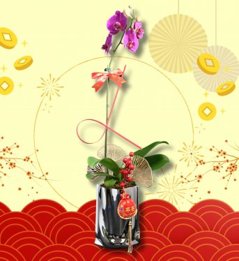 蛇來運轉(銀盆)6