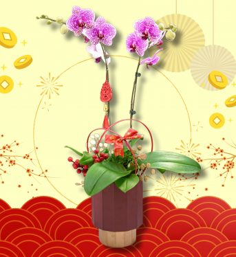 雙喜臨門1