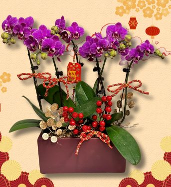 好事成雙 中國 (2)