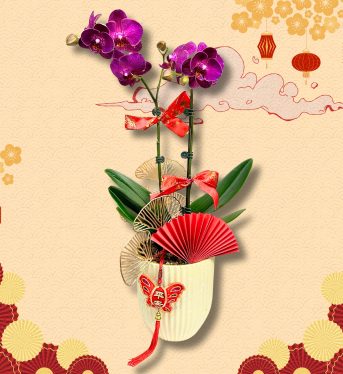 馬到功成 台灣 (2)