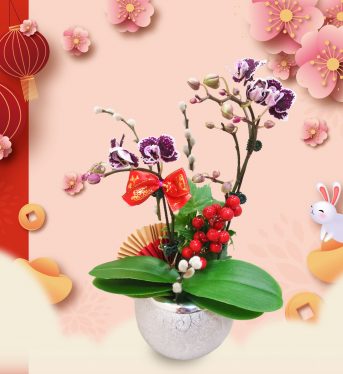 FB蘭花宣傳圖13